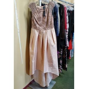 Adrianna Papell Gown